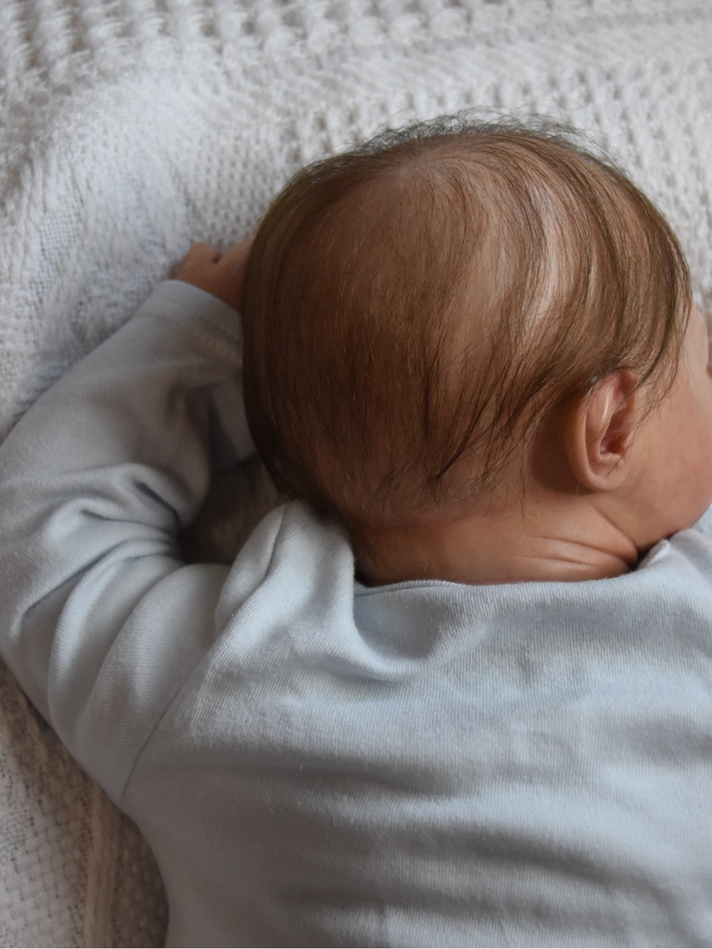 2006 Discontinued Sofie Reborn baby